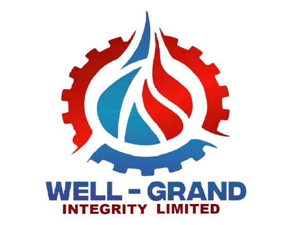 Well Grand Integrity Limited